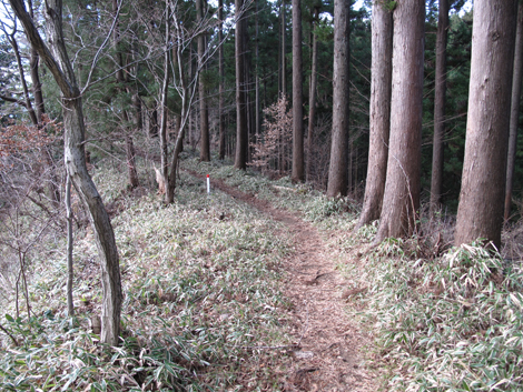 20161229hike (107)